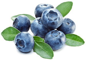 A drawing painted of Blueberries to represent Klekolo World Coffees flavored coffee.