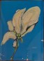 Now At Klekolo: Middletown CT Artist Illustrator AB Casey